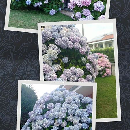 B&B L'Ortensia Vignolo Екстер'єр фото