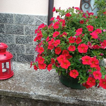 B&B L'Ortensia Vignolo Екстер'єр фото