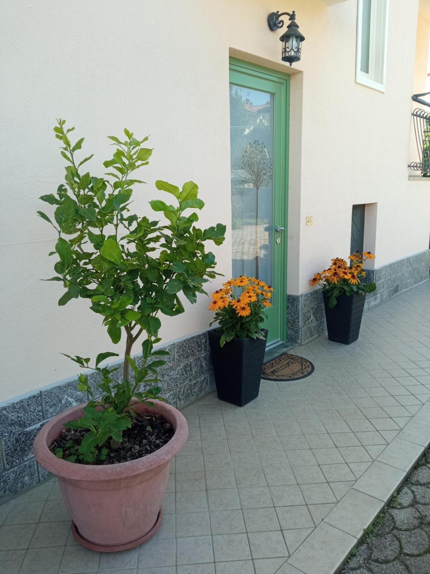 B&B L'Ortensia Vignolo Екстер'єр фото
