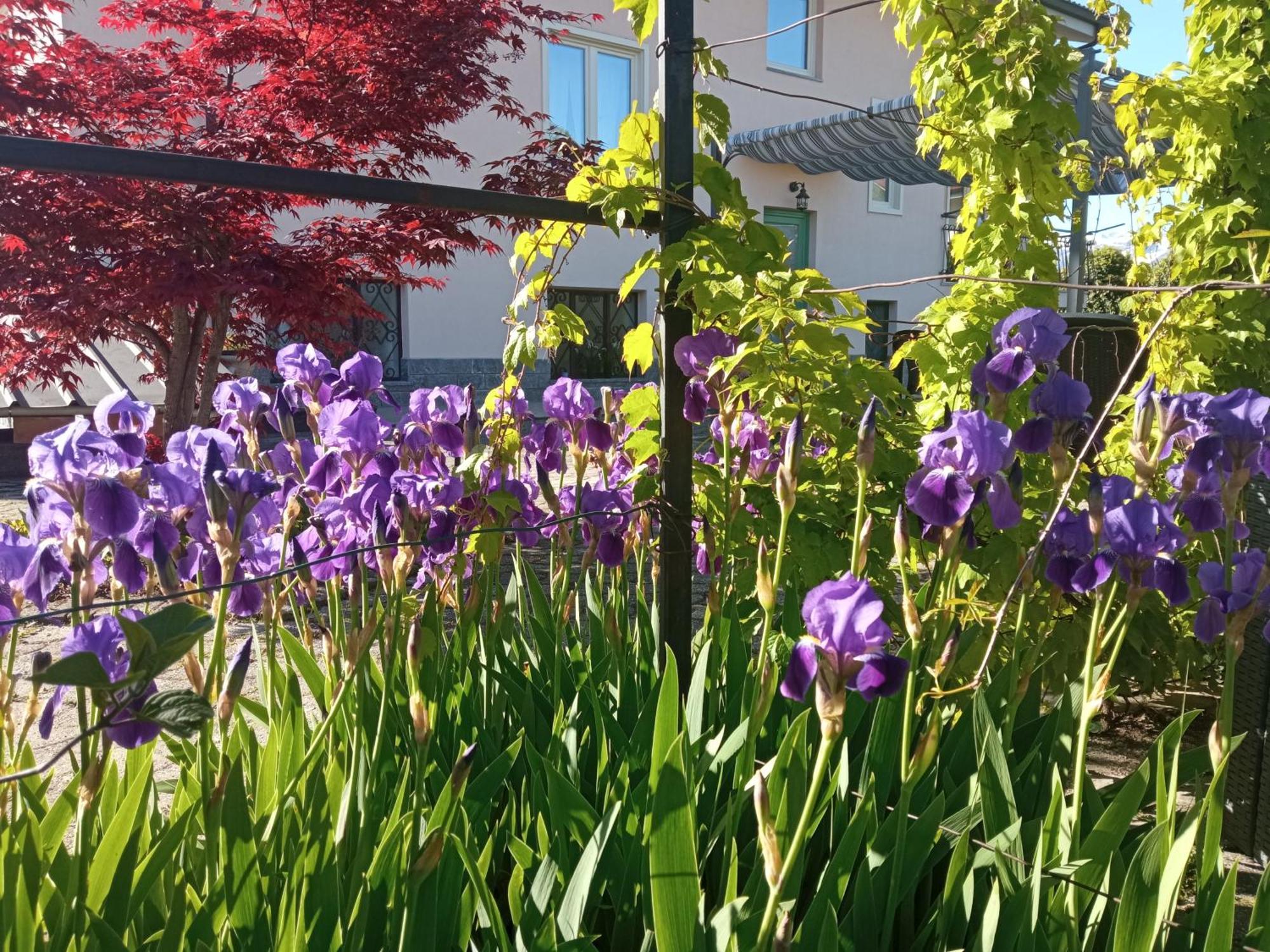 B&B L'Ortensia Vignolo Екстер'єр фото