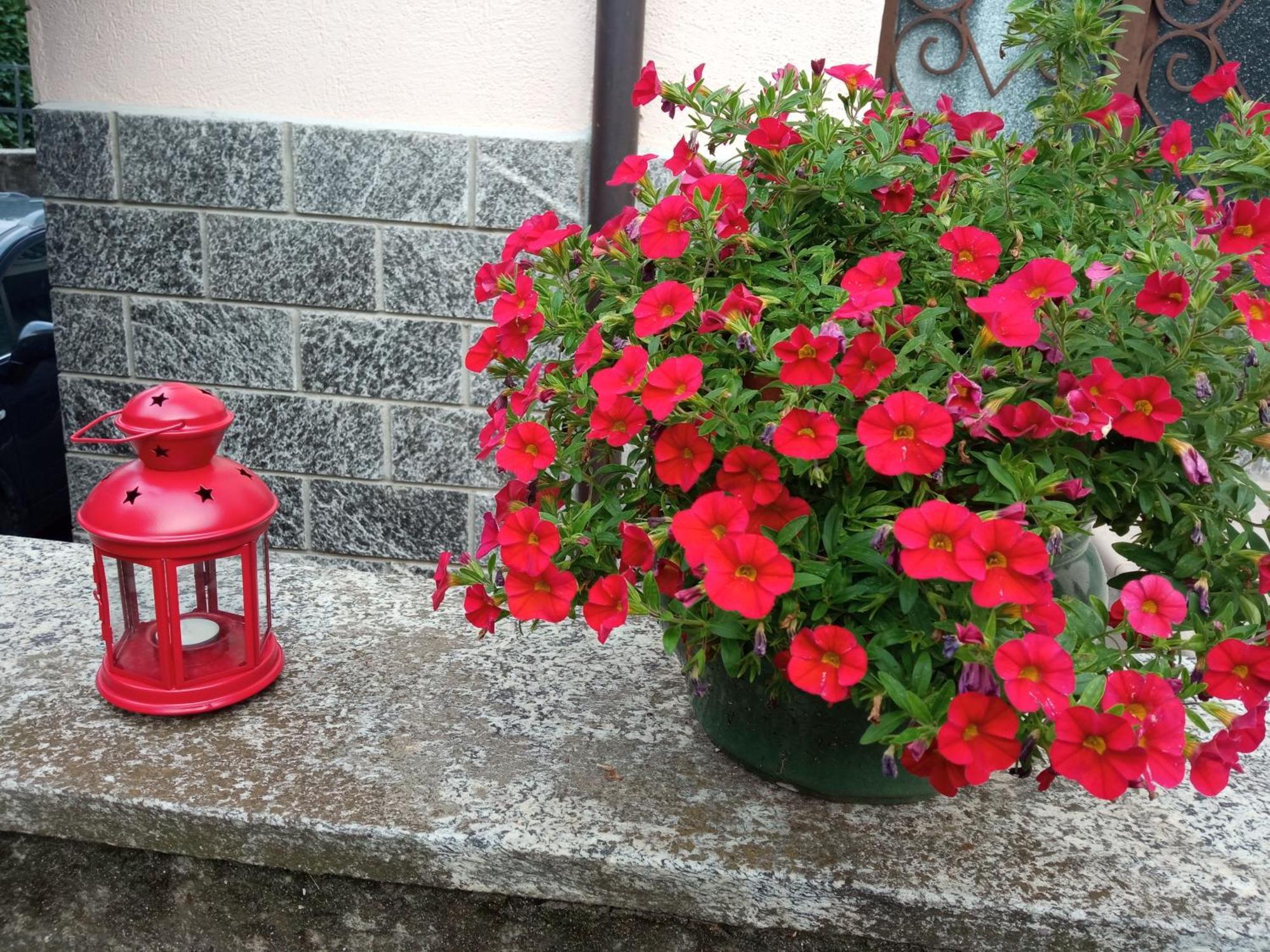 B&B L'Ortensia Vignolo Екстер'єр фото